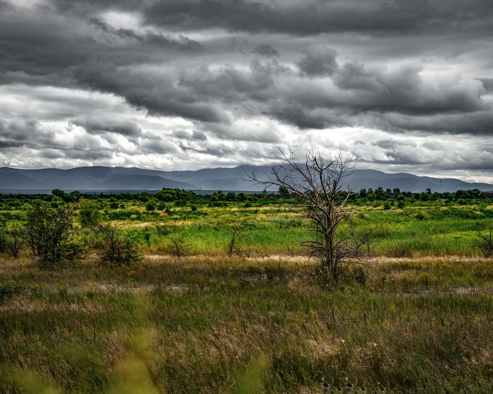 Photograph by Анастасия Клементьева