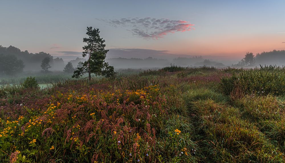 Photograph by Евгений Патрешов