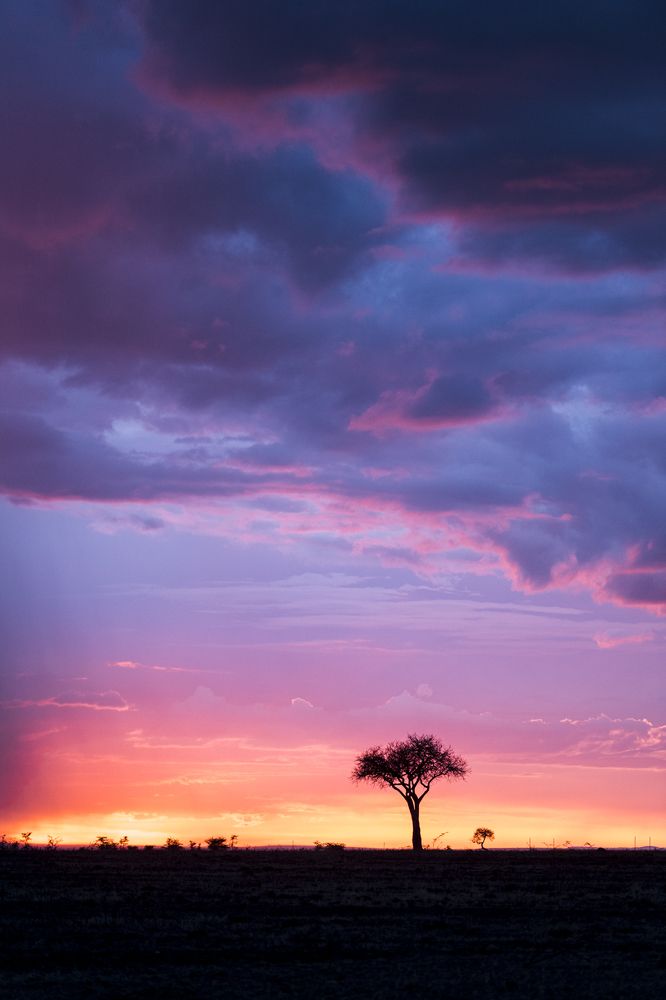 Photograph by Dhiraj Venkat