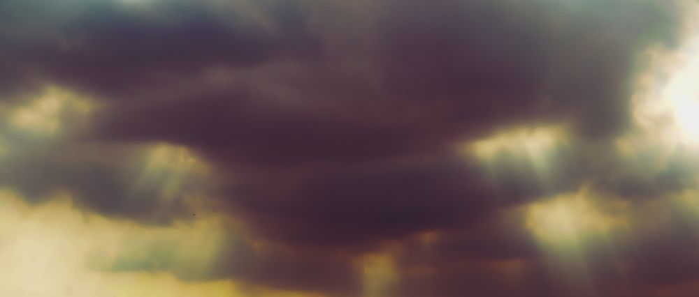 Photograph by Hieu Phan