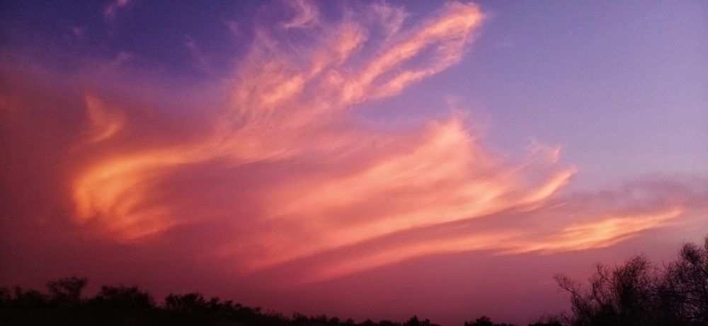 Фотография автора Irtsham Shabbir