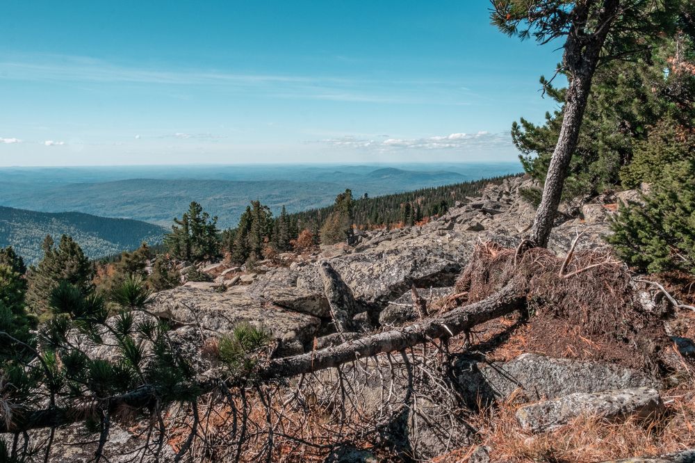 Photograph by Светлана Аверьянова