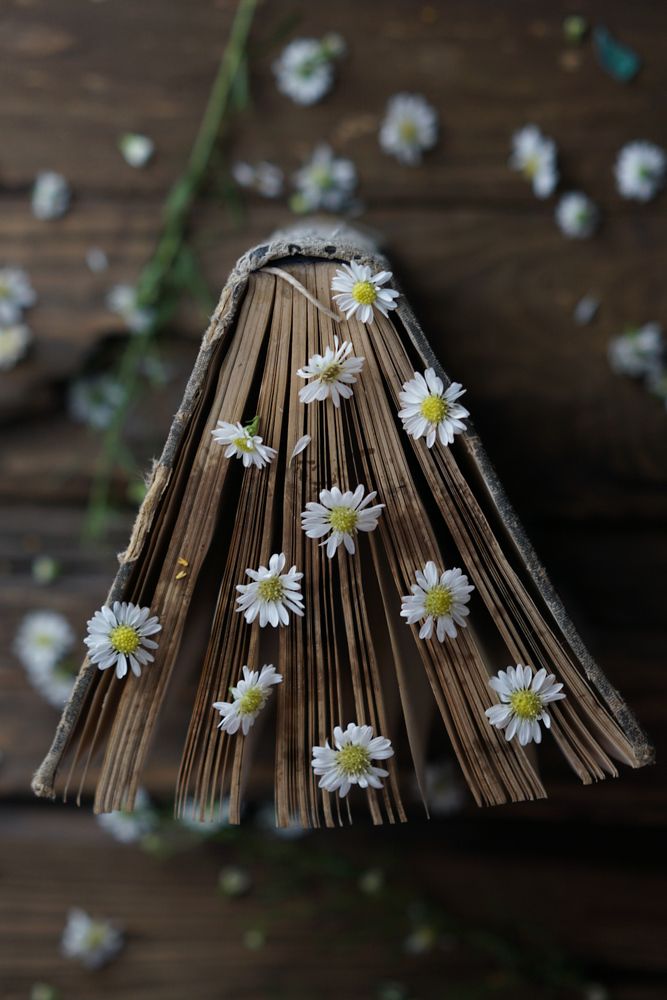 Photograph by Treesnawaty Rahim