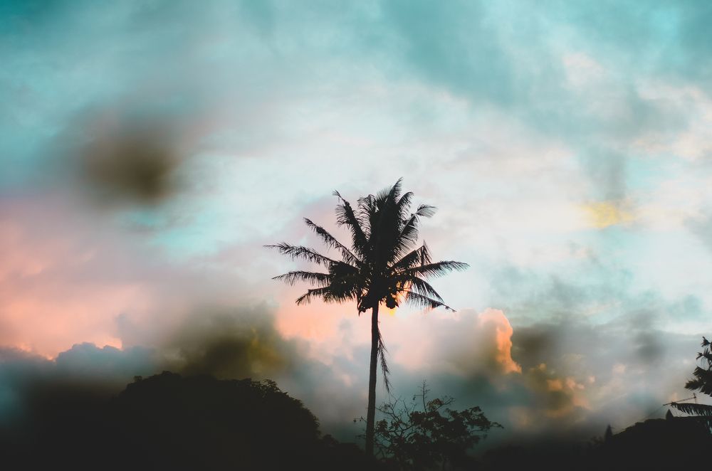 Photograph by Varun Sookhna