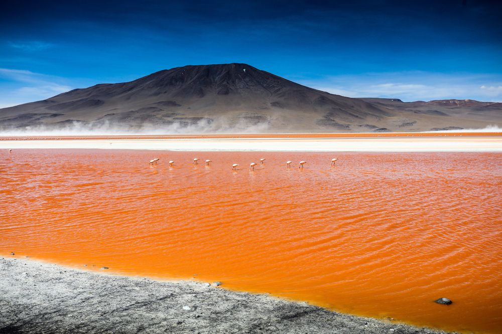 Laguna colorada Bolívia