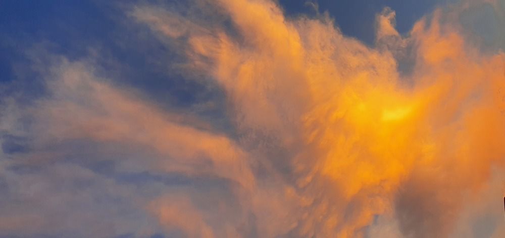 Photograph by Régis Santos