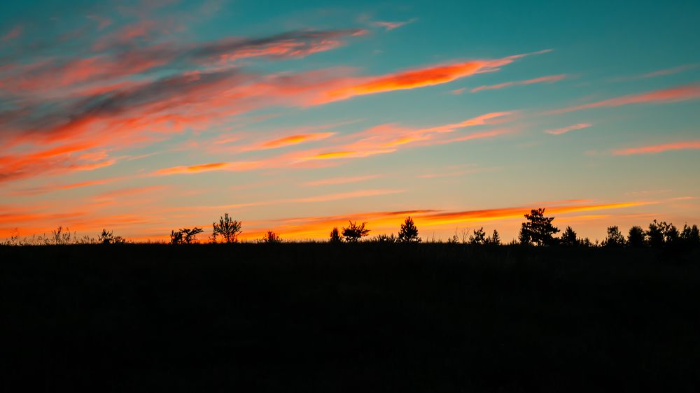 Photograph by Светлана Евграфова