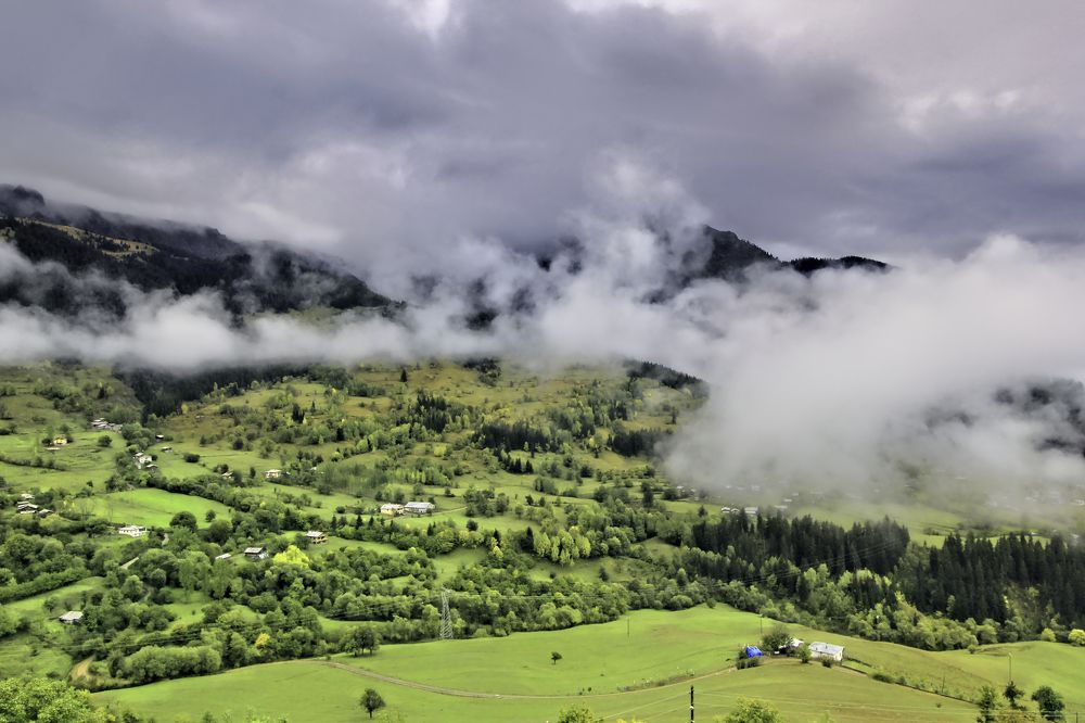 Photograph by Selma Kotancı