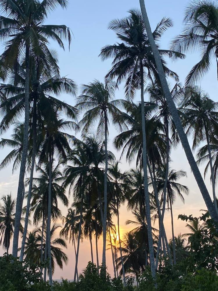 Photograph by Татьяна Мазепова