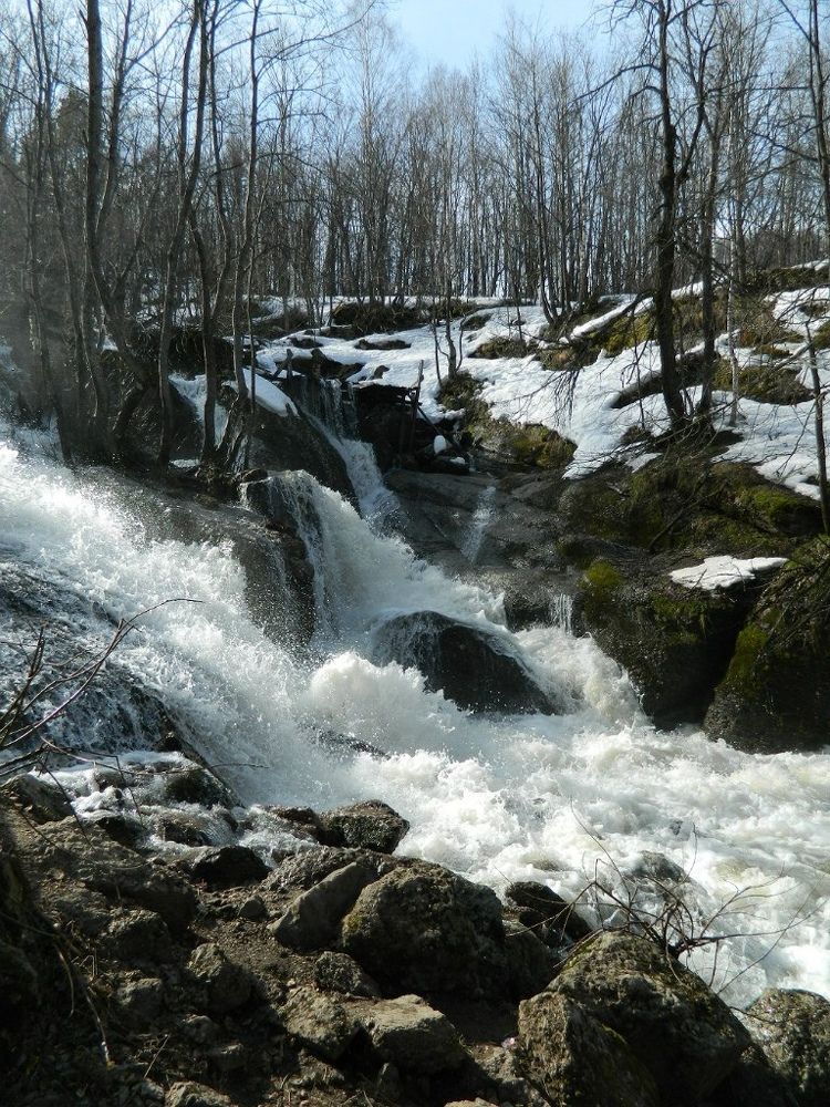 Фотография автора Татьяна Мазепова
