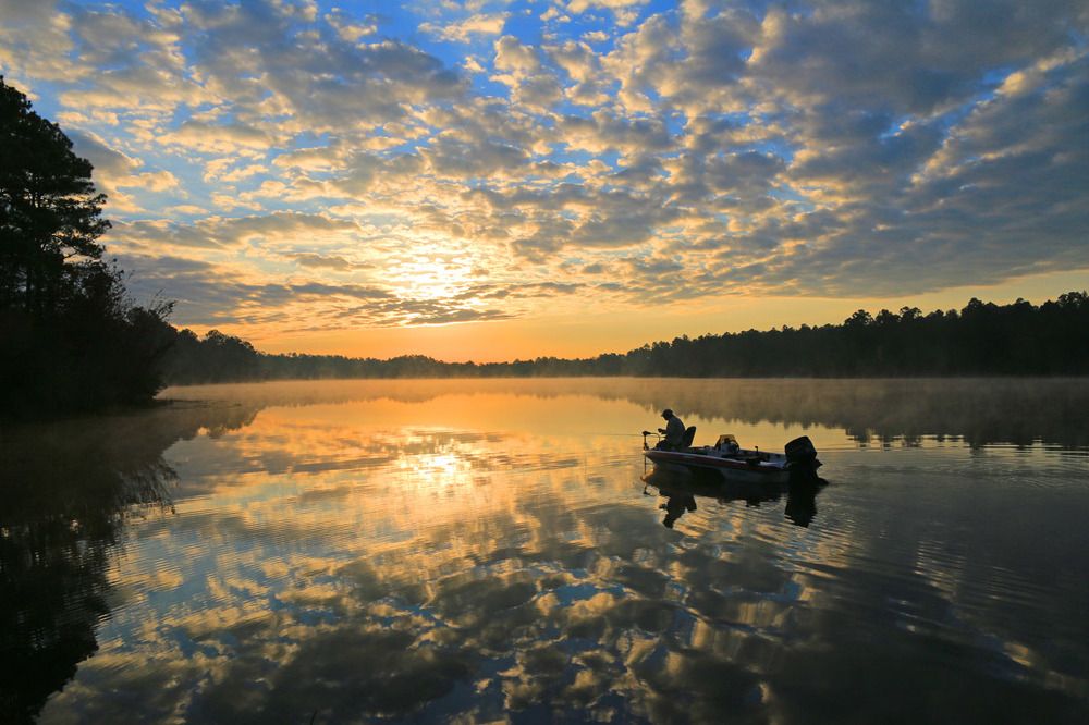 Фотография автора Татьяна Мазепова