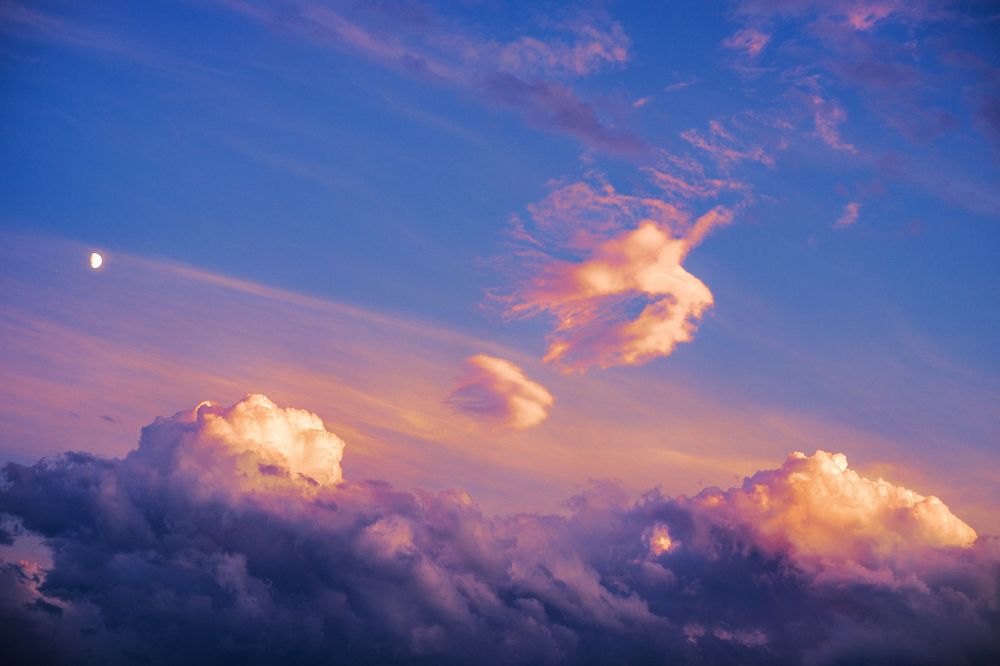 Photograph by Niko Lazur