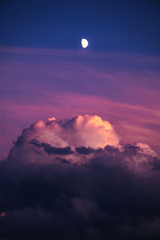 Photograph by Niko Lazur