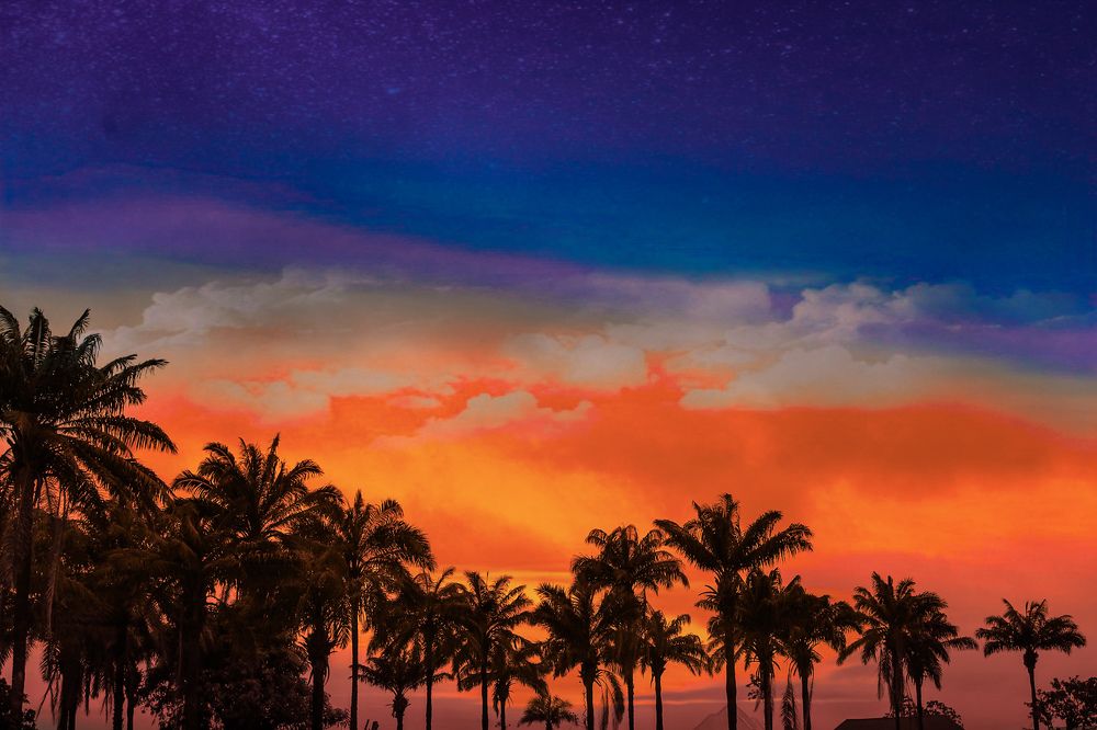 Photograph by Fatima Yusuf