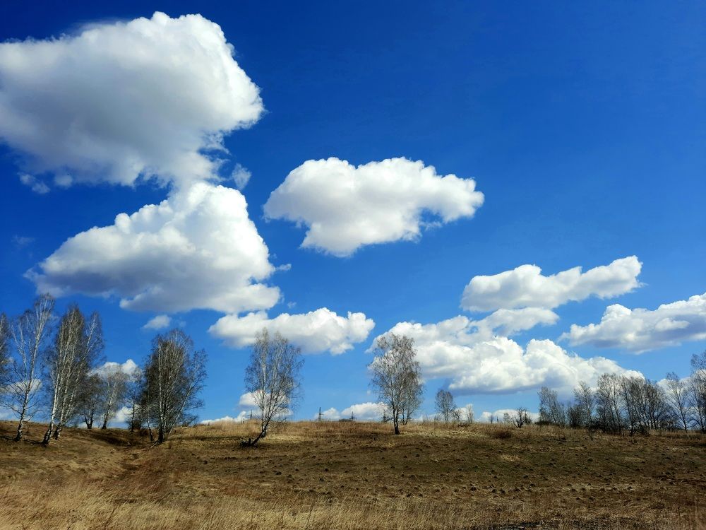 Photograph by Ольга Саенко