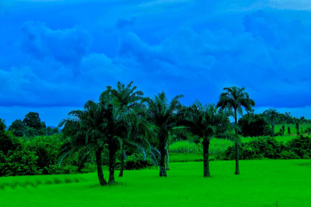 Photograph by Fatima Yusuf