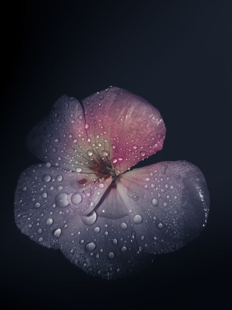 Photograph by Наташа Черепенина