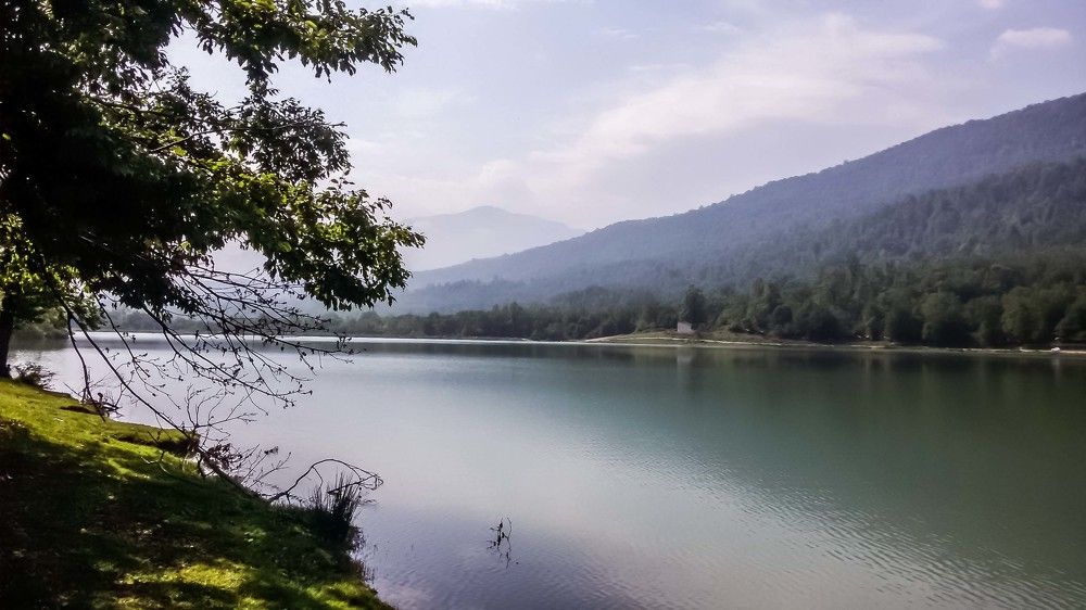 Photograph by Mozhgan Sadeghi