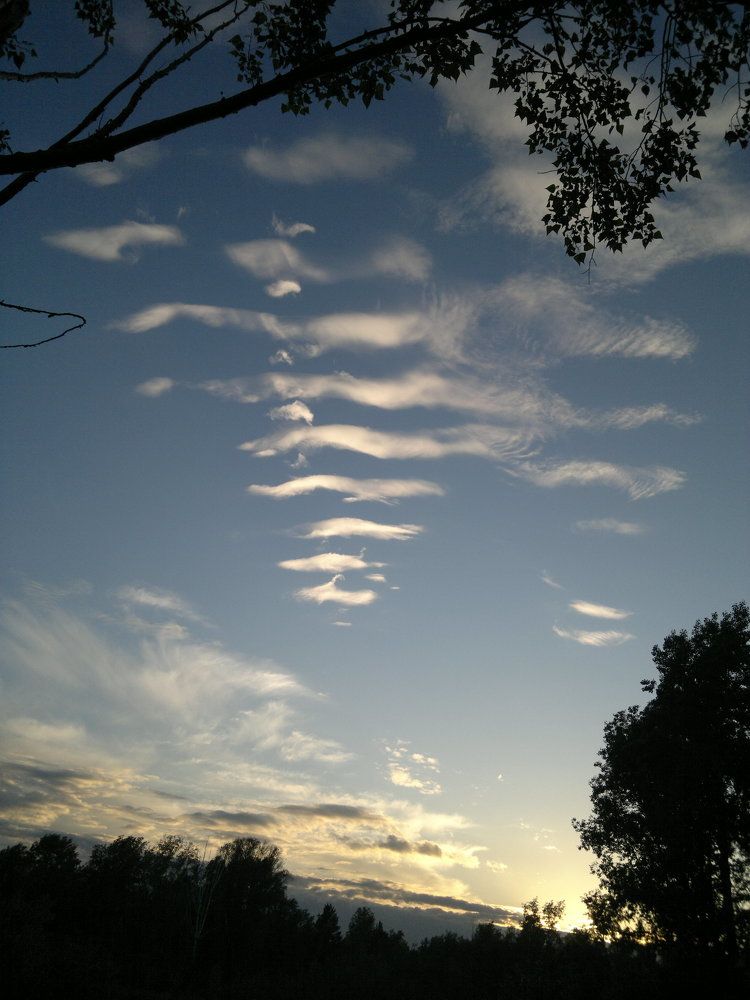 А облака как лебеди...
