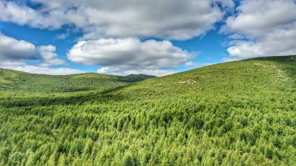 Воздушное небо