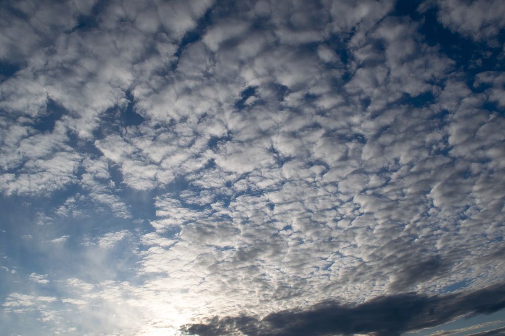 Photograph by GEORGIOS PATTAS