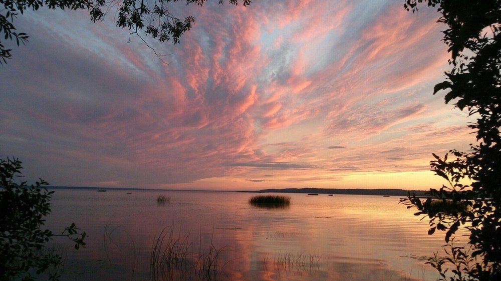 Photograph by Елена Верховская