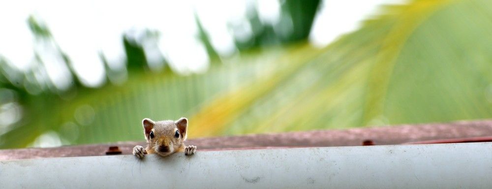 Photograph by Akhil