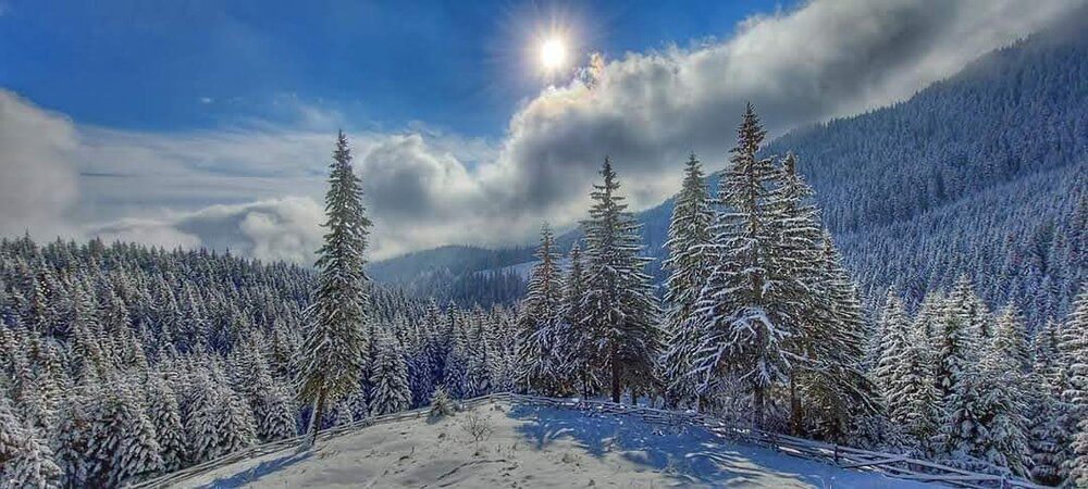 Photograph by Edgar Major