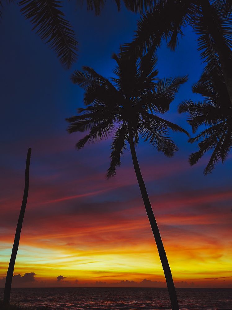 Фотография автора Irshad Alam