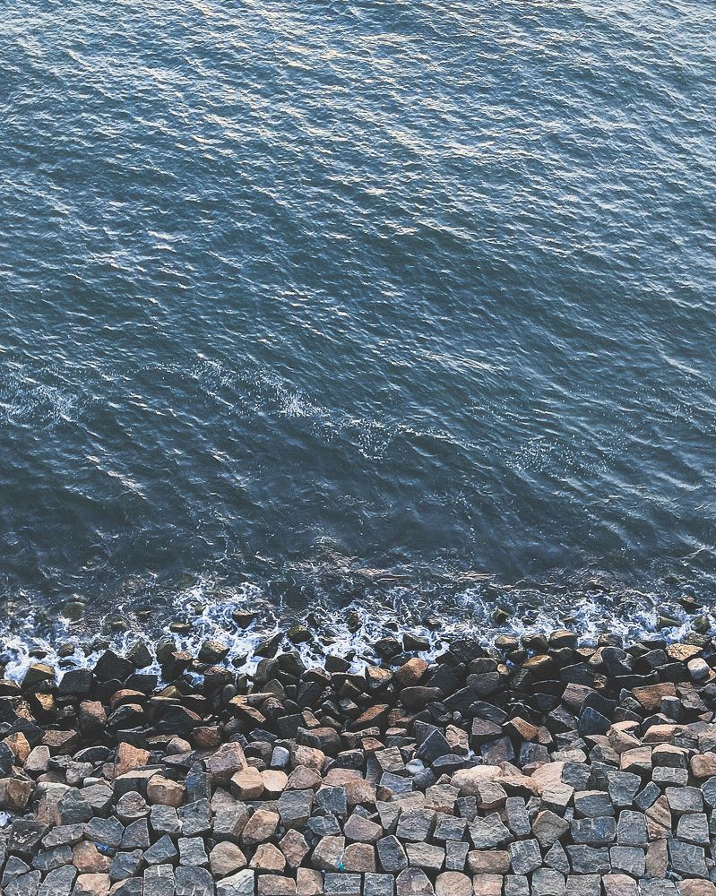 Фотография автора Irshad Alam