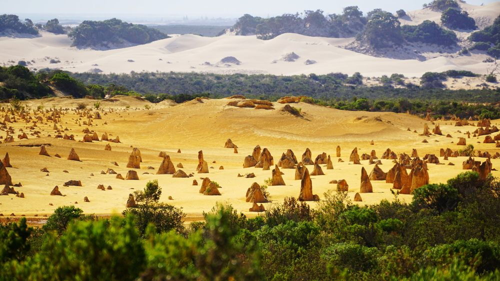 Photograph by Снежана Фирсова