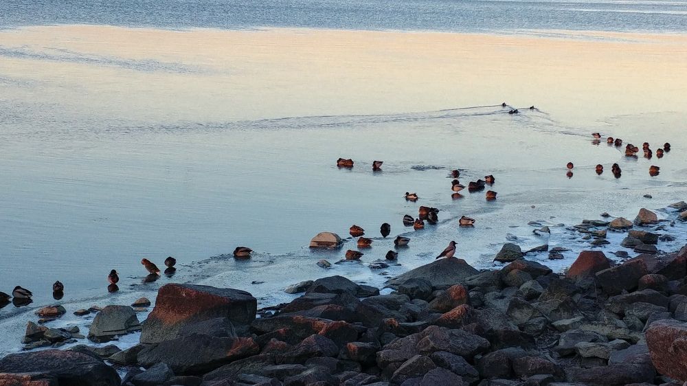 Photo #6062608