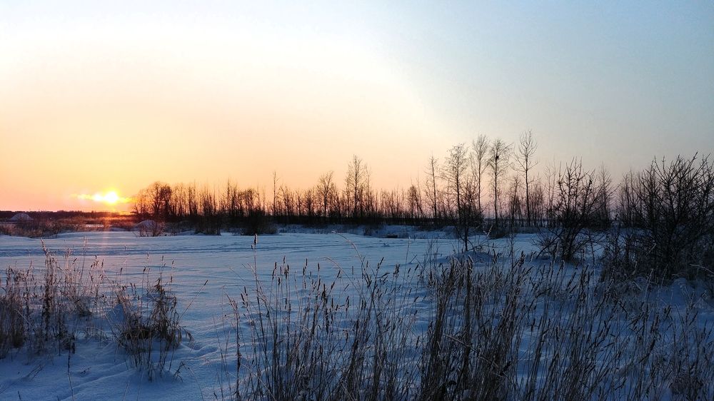 Photo #6062614