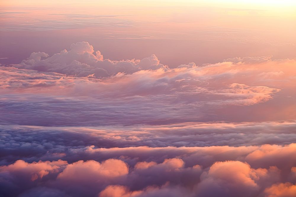 Фотография автора Алиса Курганская