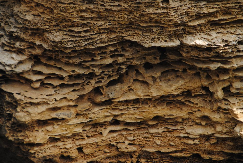 Photograph by Инна Сечко