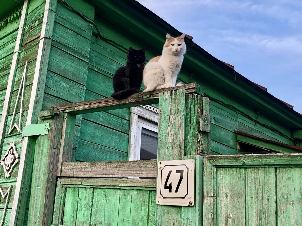 Photograph by Александра