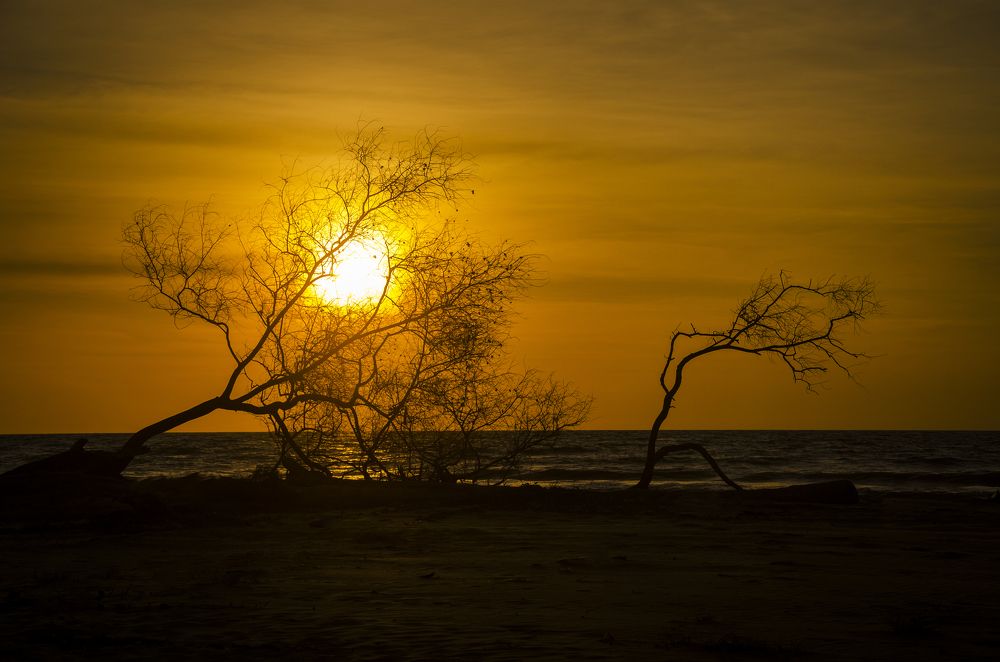 The beauty of nature.