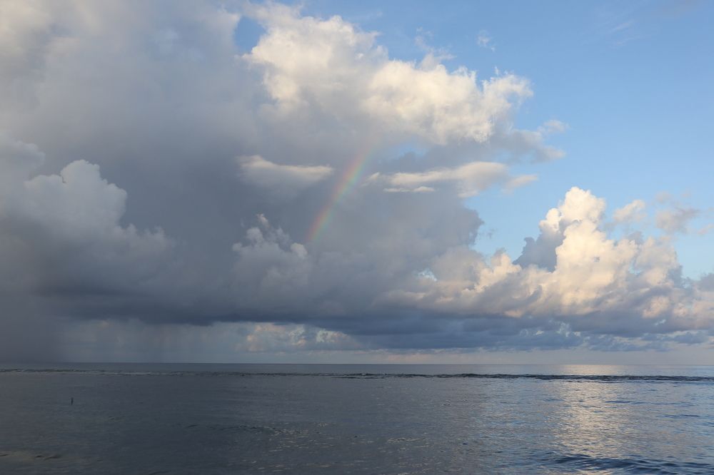 Photograph by Benny Momor