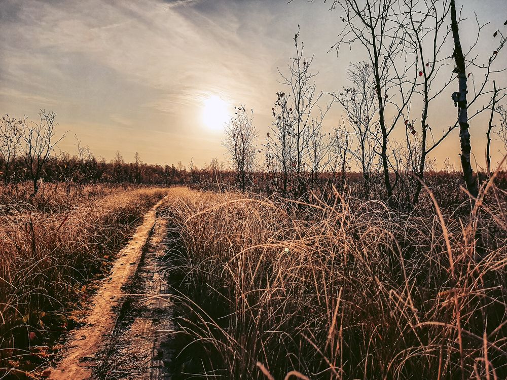 Photograph by Ольга