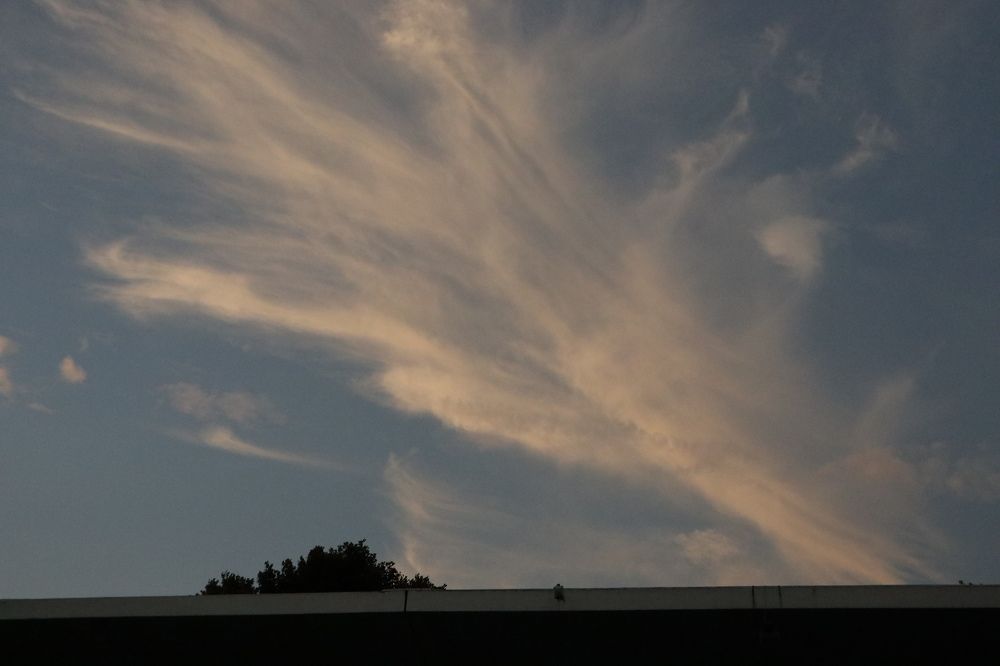 Photograph by Benny Momor