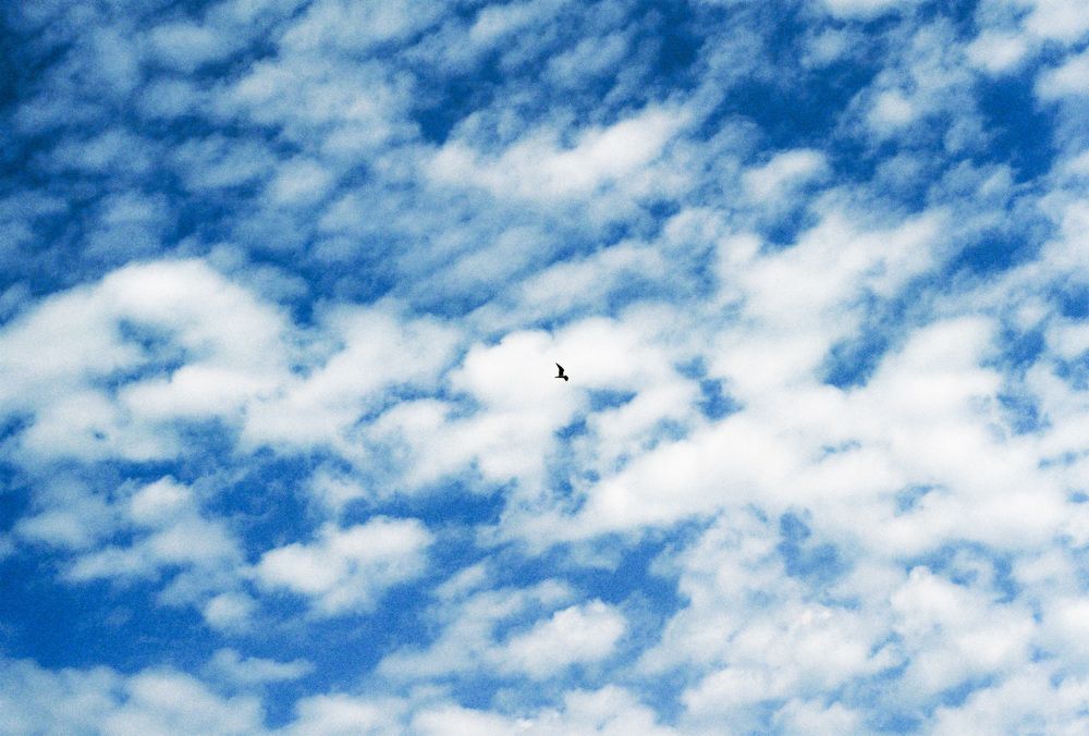 Photograph by Денис Галицын