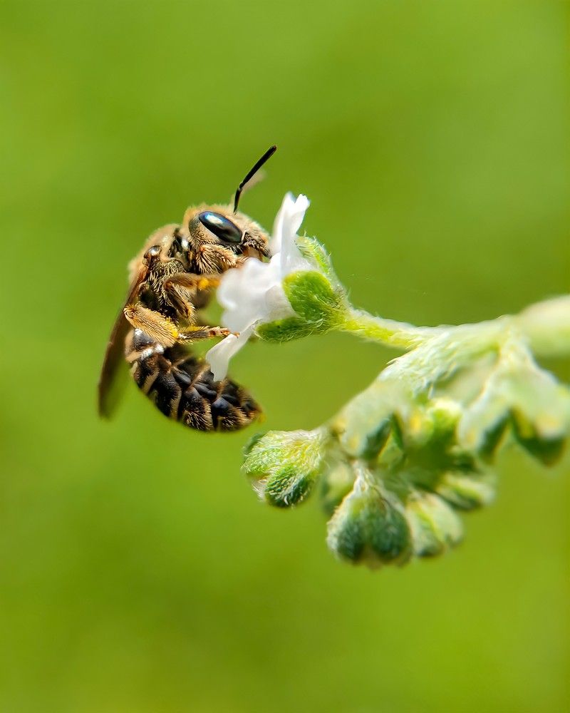 Фотография автора Irshad Alam