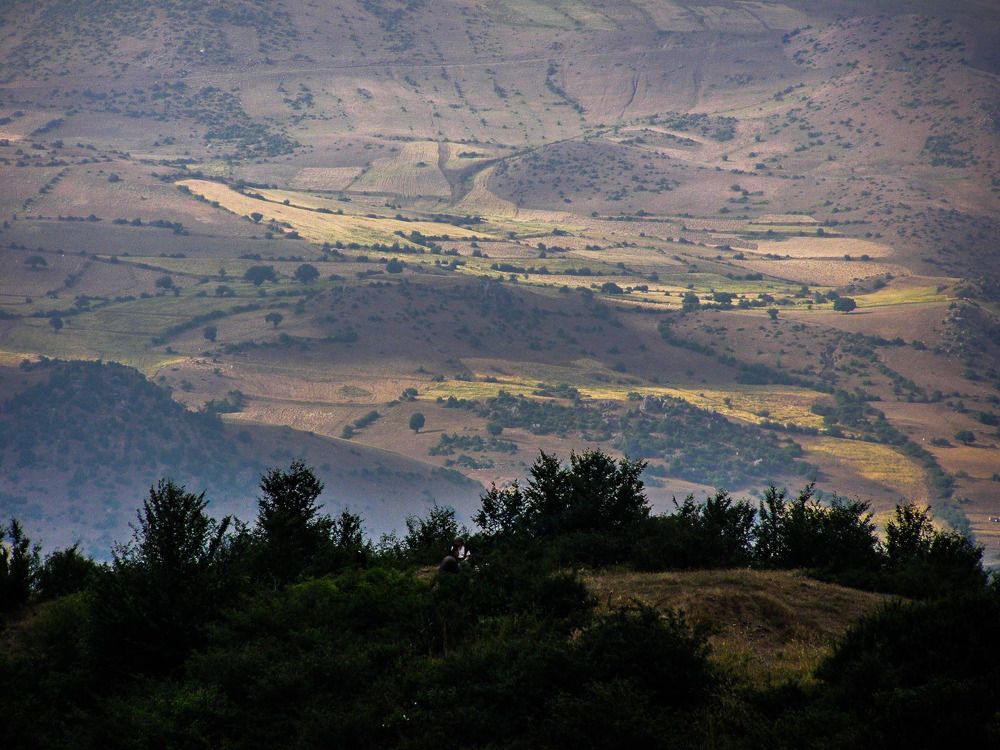 Photograph by Mozhgan Sadeghi