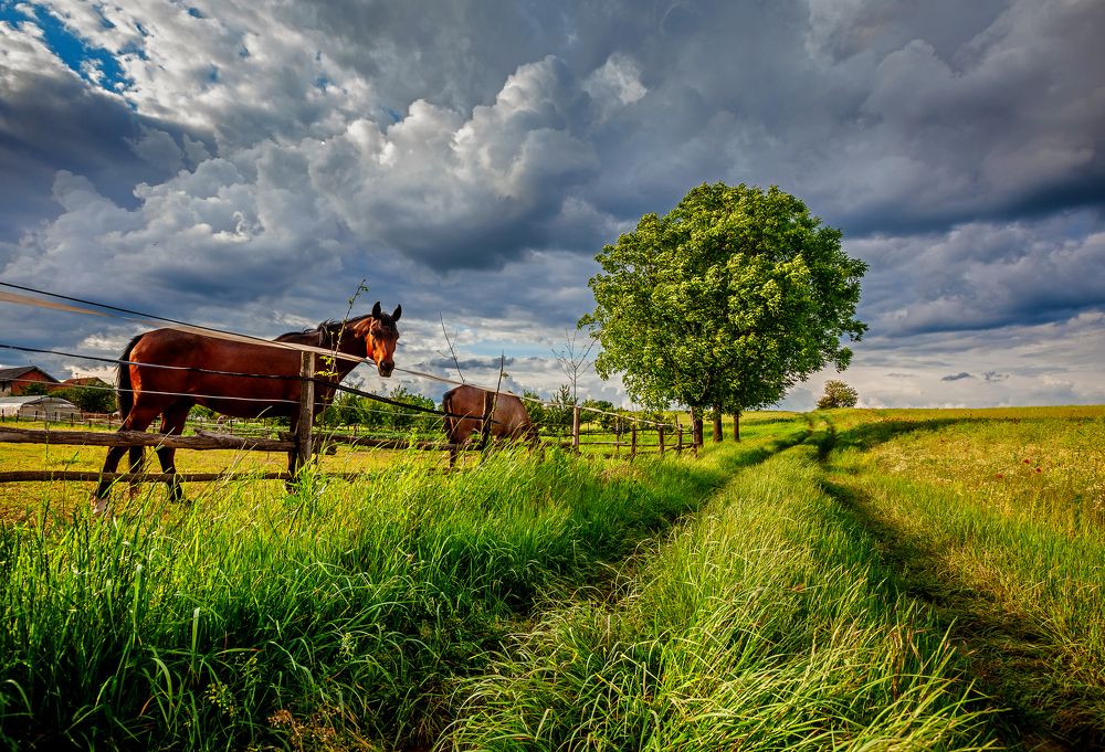 Photograph by Samir Kurtagić