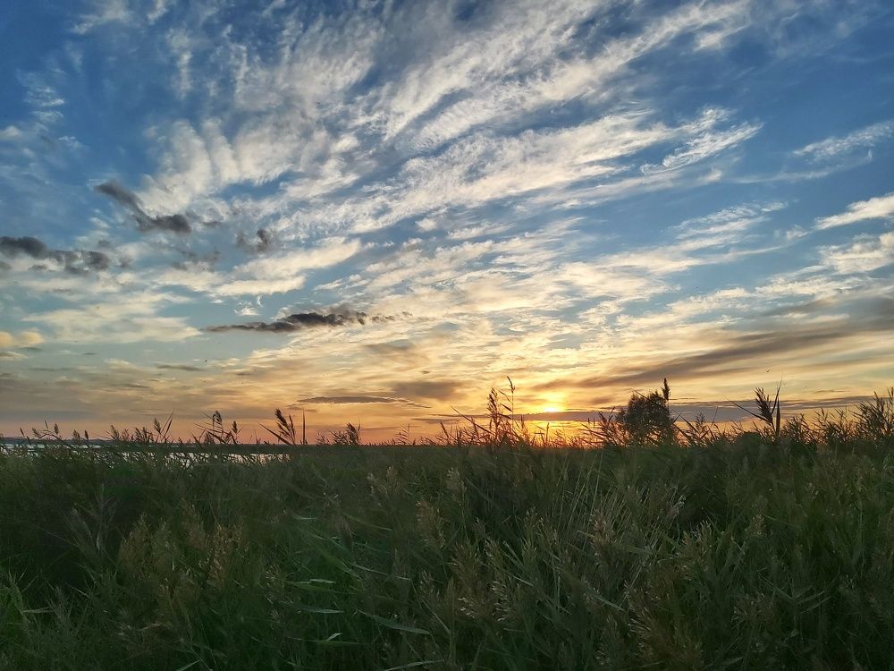 У озера Копа