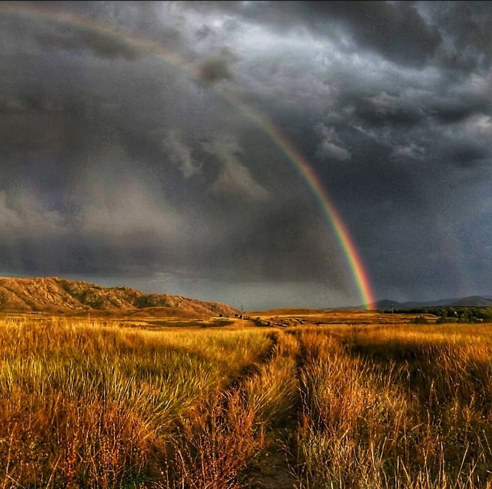 Photograph by Ольга Веселова