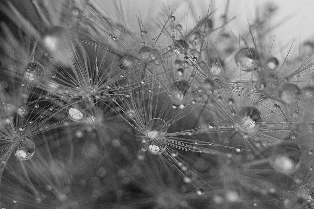 Photograph by Подгурский Фёдор