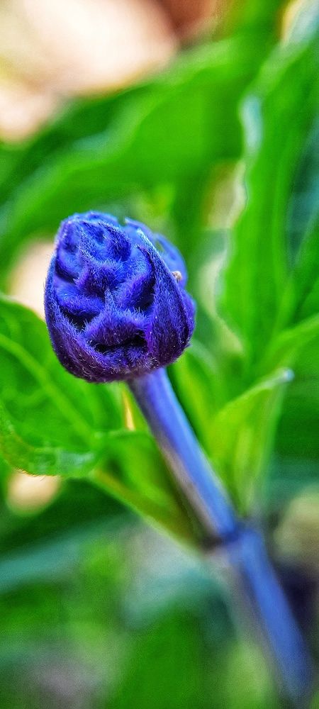 Photograph by Гульназ Арсланова