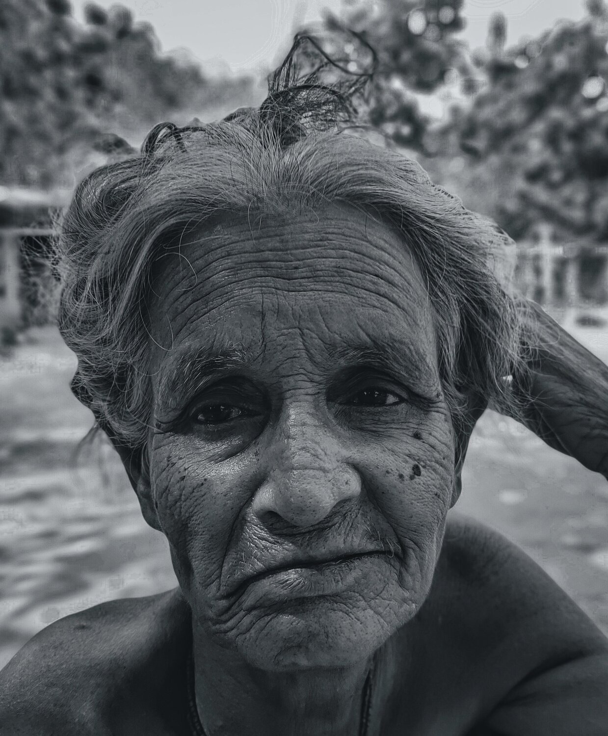 Photo #6063026