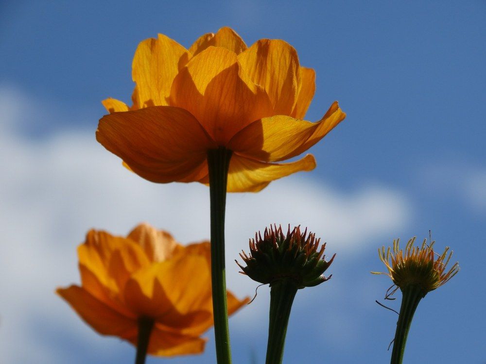 Photograph by Ольга